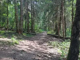 IMG-20230611-WA0018.webp