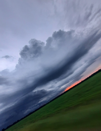 203755_Gallery.webp