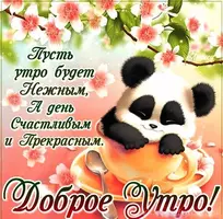 192.webp