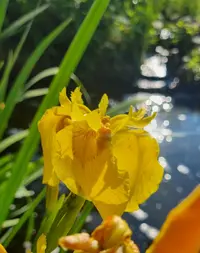 Screenshot_20230617_081011_Gallery.webp