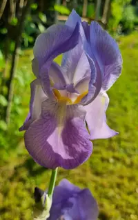 Screenshot_20230617_081210_Gallery.webp