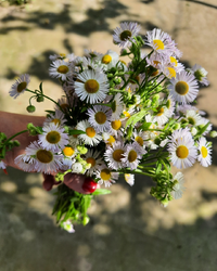 94244_Gallery.webp