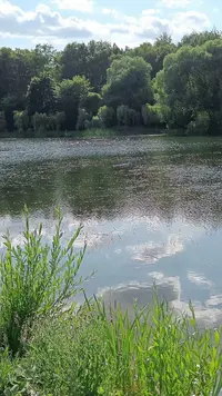 IMG20230618165832.webp