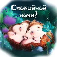 IMG_20230618_075104_177.webp
