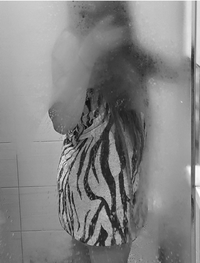 895042_Gallery.webp