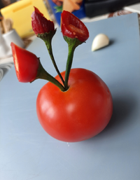 123841_Gallery.webp