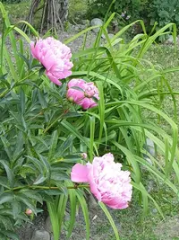 20230619_182059.webp