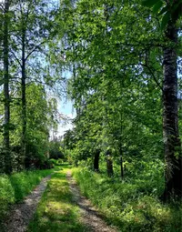 IMG-20230621-WA0008.webp