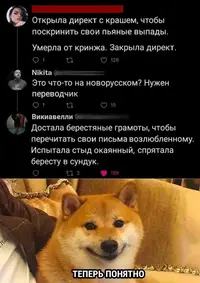 1686832330154935967.webp