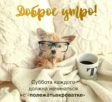 ocr.webp