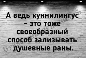 9cd148088c7e198a5ad98aa7b8e47d2d.webp