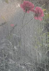 193750_Gallery.webp