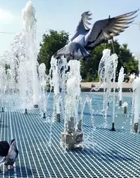 Mir75257_Gallery.webp