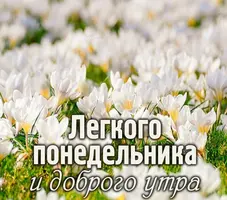 78AFCC91-023C-4CE7-B02B-D31FD0E22581.webp