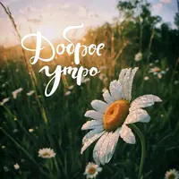 NPPrMlwGYLA.webp