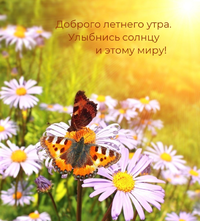 S_dobrym_letnim_utrom_32_12065721.webp