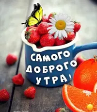 04F670D9-8515-456C-A844-4964AE7D8BD8.webp