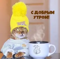 9CF92D95-B626-49C9-AF44-728BB54FC954.webp