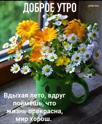 2eca656643cc3b05a57d681edbcc180d.webp