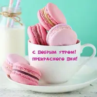 Y8cGdf0QCdg.webp