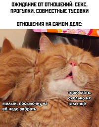 1687948441192637459.webp