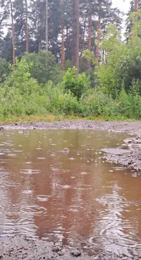 IMG-20230629-WA0001.webp