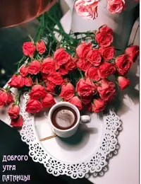 8CCED903-94FA-4D6A-B902-4D8DB0C09E87.webp