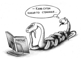 8880.webp
