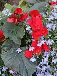 IMG20230701104451.webp
