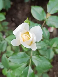 IMG20230701104539.webp