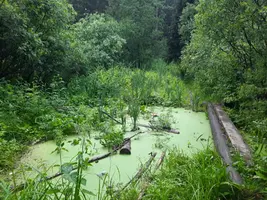IMG-20230629-WA0009.webp