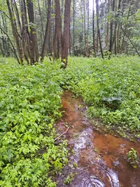 IMG-20230629-WA0003.webp