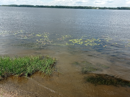 IMG_20230702_133639_resize_76.webp