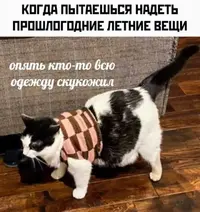 IMG_20230703_173915_326.webp