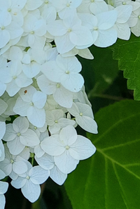 142018_Gallery.webp