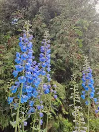 IMG-20230702-WA0002.webp