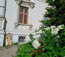 IMG-20230702-WA0013.webp