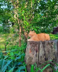 IMG-20230703-WA0000.webp