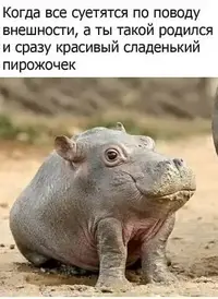 IMG-20230628-WA0005.webp