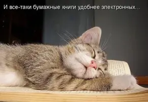 9990777.webp