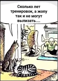 f9bedb8fb9ba614d7aec6af8245124ec.webp