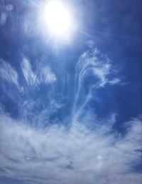 3453_Gallery.webp