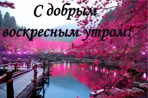 8D843765-1DAE-4C12-AD2F-8435402CA562.webp