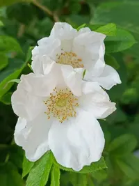 IMG20230706150608.webp