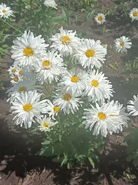 IMG20230709105036.webp