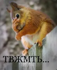 da24aa4f759ced6b1d818182edf48a39.webp