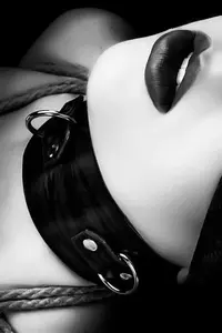 c60936bf7b12f5aae3fde19a365f2dd0.webp