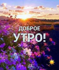 bbc6ea86b76b3ced1154986bb46f96f7.webp