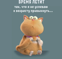 0079.webp