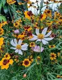 10.0723Gallery.webp